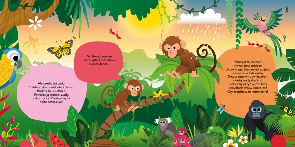 Magiczna latarka Dzungla srodki elibri